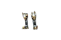 Guardian Boots
