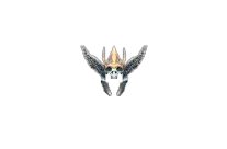 Princie Helmet