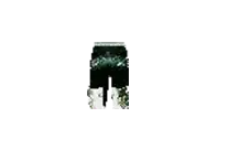 Illusion Knight Scale Pants