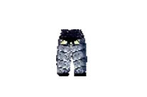 Plate Pants